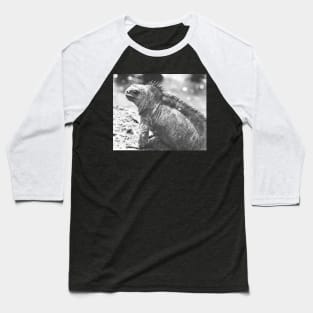 Marine Iguana Baseball T-Shirt